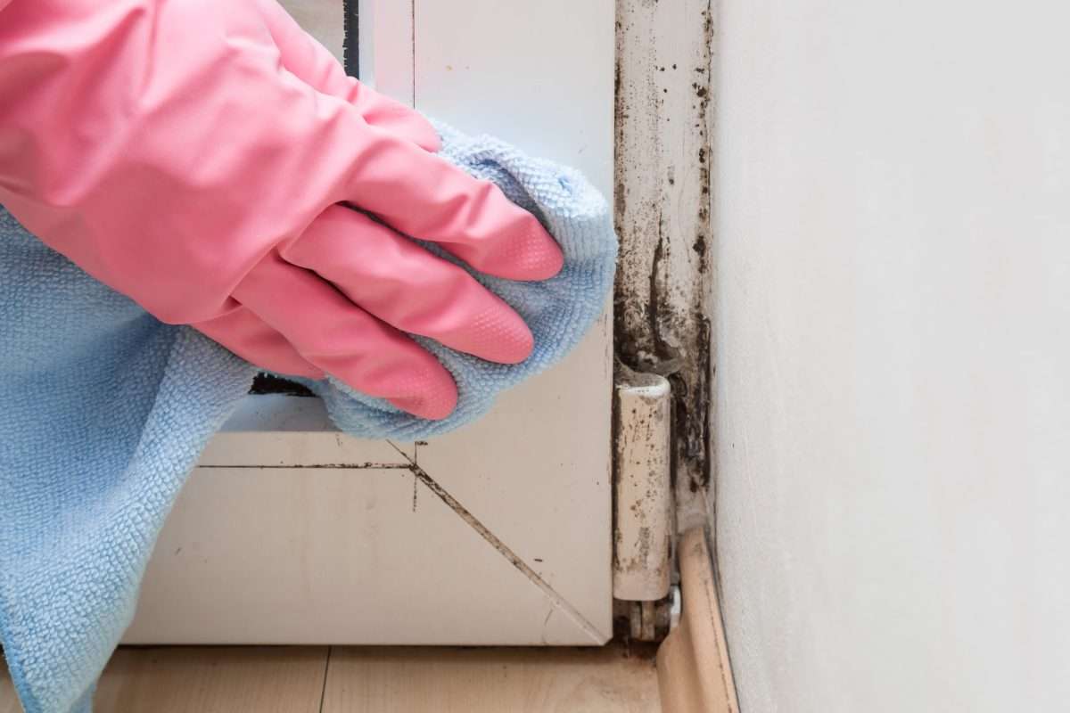 Mold Complaint Problems - Document Conditions Before Repairs Begin