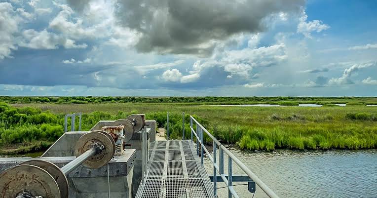 Wetland Development Issues - Check Permits Before Starting Construction